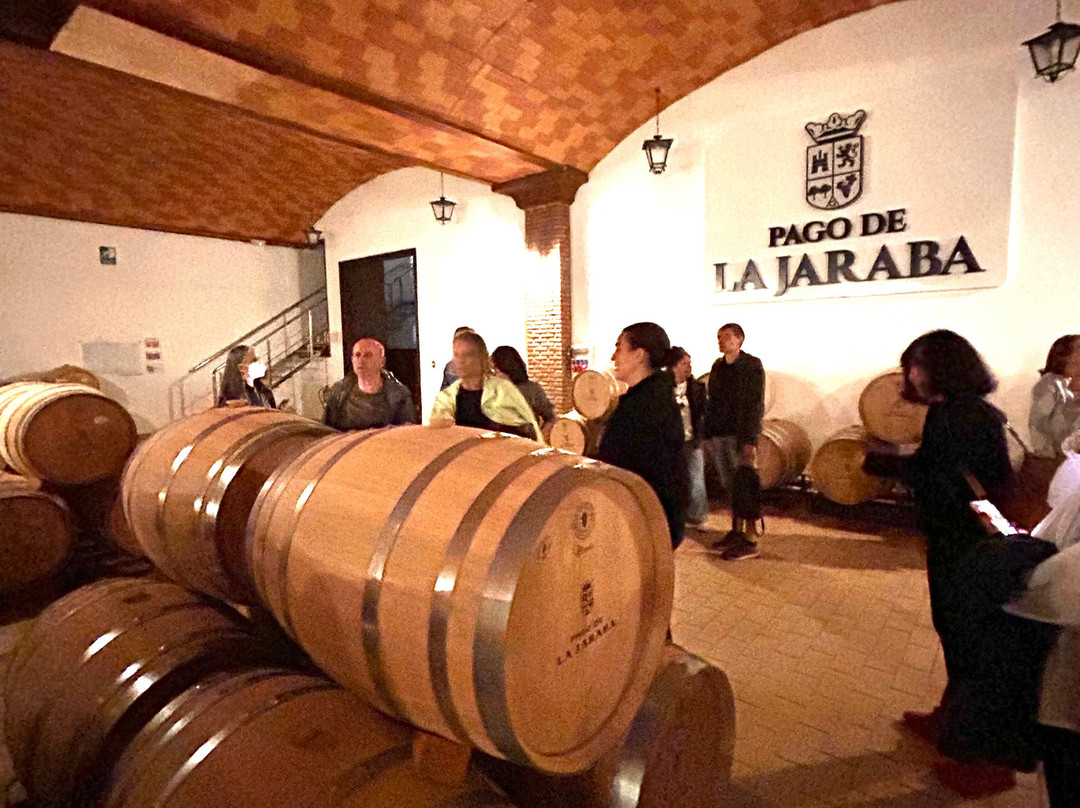 Pago De La Jaraba-Villarrobledo必去景点