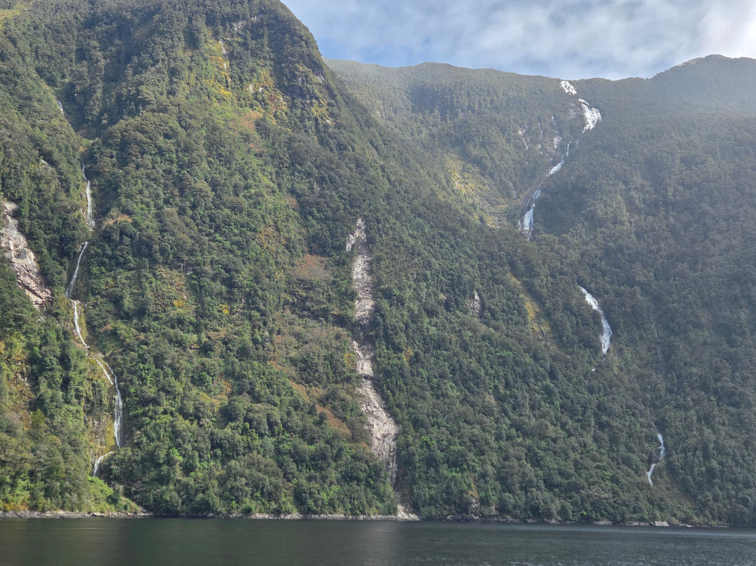 Fiordland Expeditions - Doubtful Sound Overnight Cruises & Multi Day Charters-马纳普里必去景点