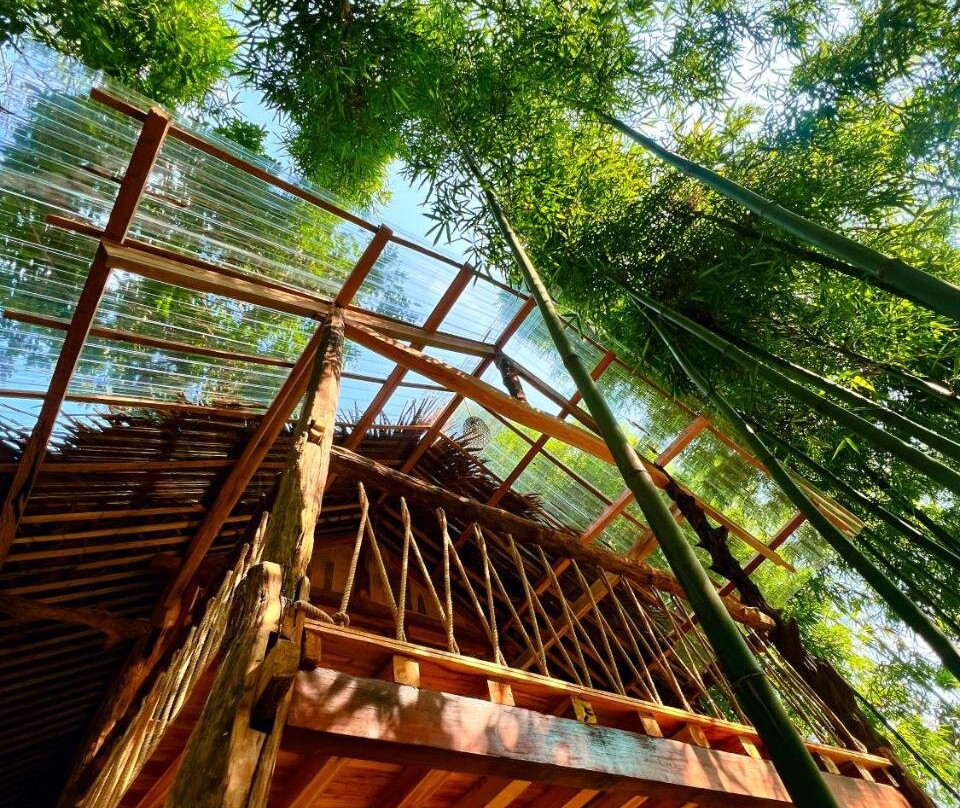 Jack Ecolodge