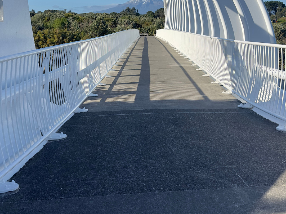 Te Rewa Rewa Bridge-新普利默斯必去景点