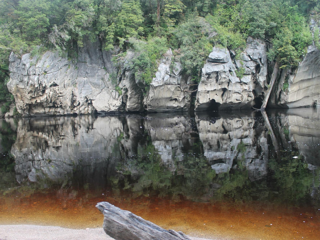 Franklin River Nature Trail-塔斯马尼亚必去景点