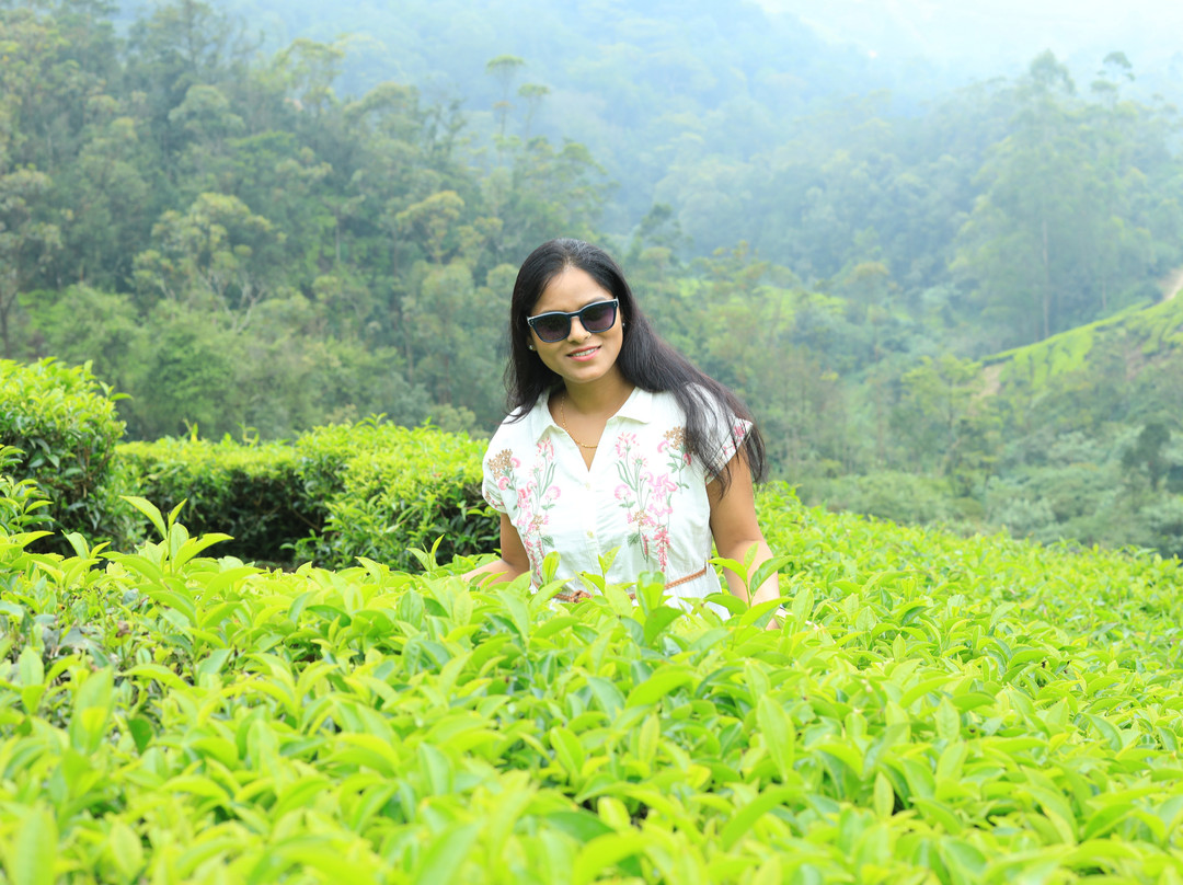 Alleppey Taxi-阿拉普扎必去景点