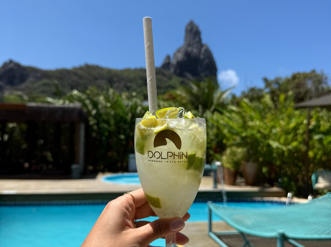 海豚酒店主图