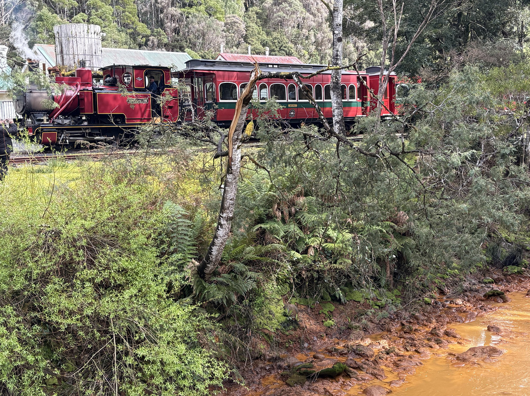 West Coast Wilderness Railway-皇后镇必去景点