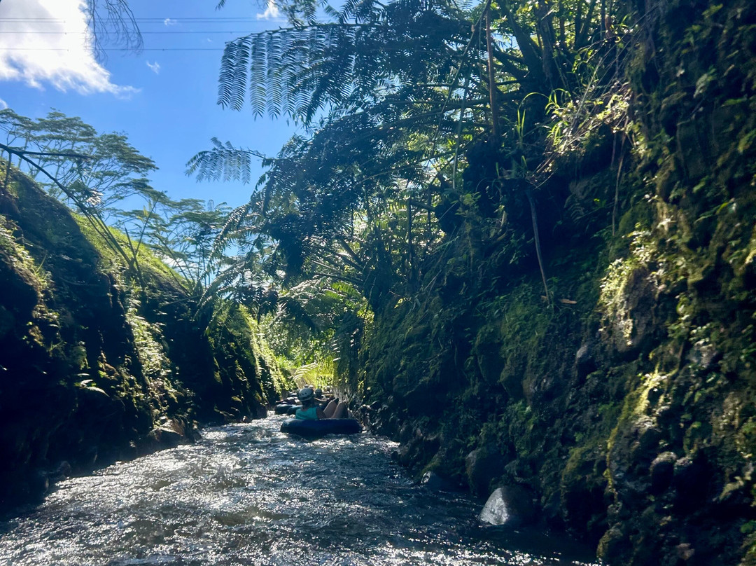 Kauai Backcountry Adventures-哈纳玛鲁必去景点