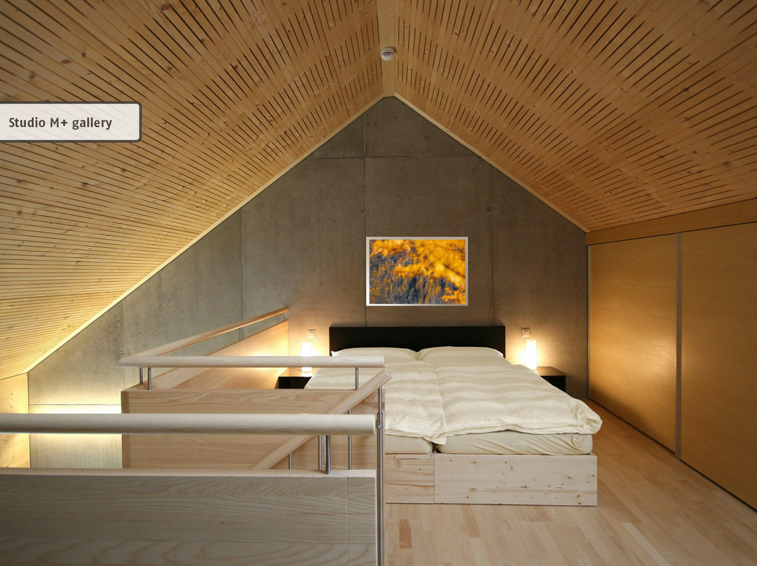 Celerina酒店住宿-ALL IN ONE HOTEL INN LODGE