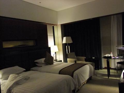逸顿国际大酒店-客卧