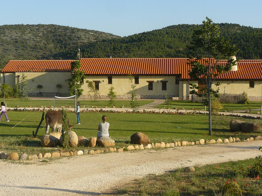 Covarrubias酒店住宿-Hotel Rural Bioclimatico Sabinares del Arlanza