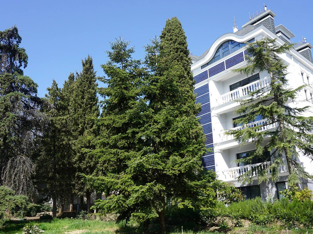 阿卢什塔酒店住宿-Usadba Primorskiy Park