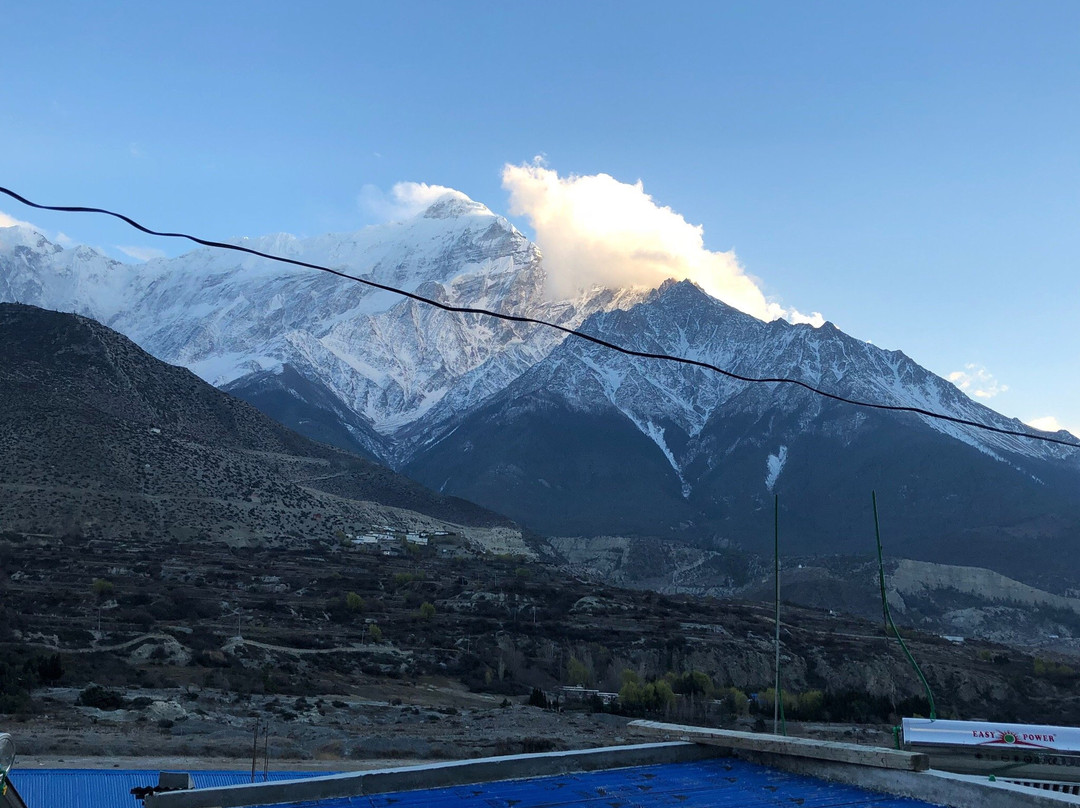 Hotel Mustang Monalisa