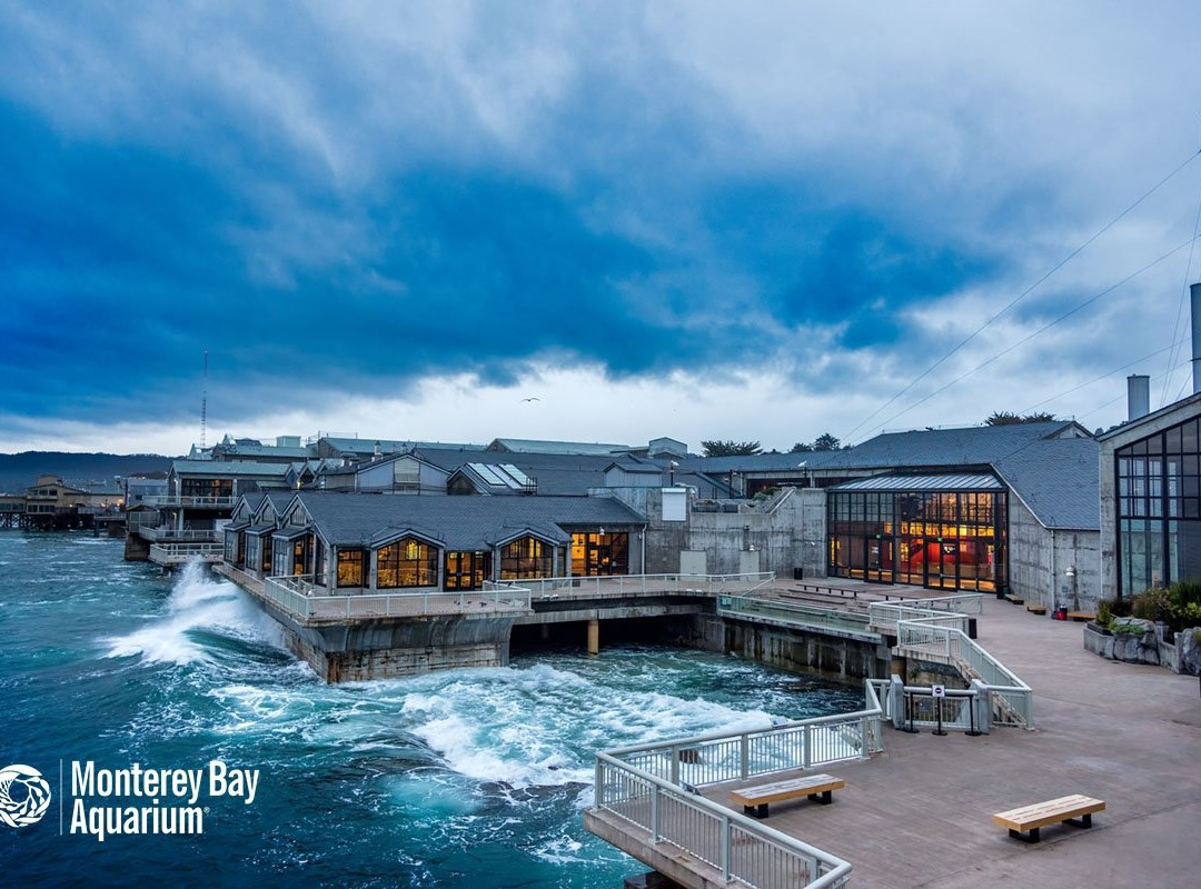 蒙特雷旅游景点-蒙特利湾水族馆