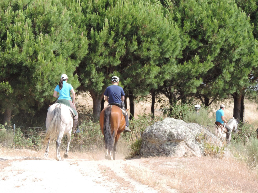 Activities Barbancho - Horseback Riding景点图片