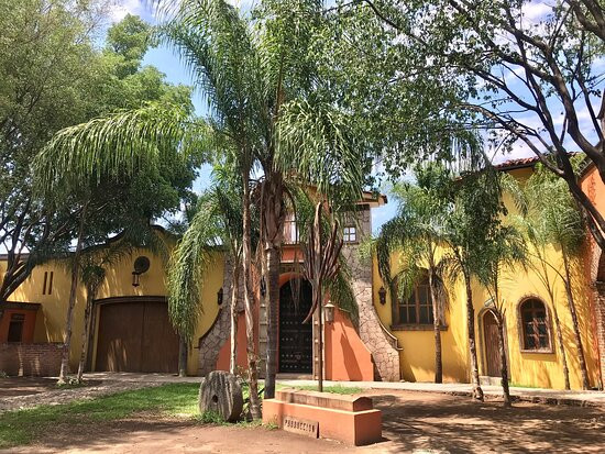 Hacienda de Oro景点图片