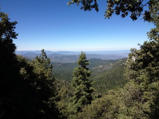 Mount San Jacinto State Park and Wilderness景点图片