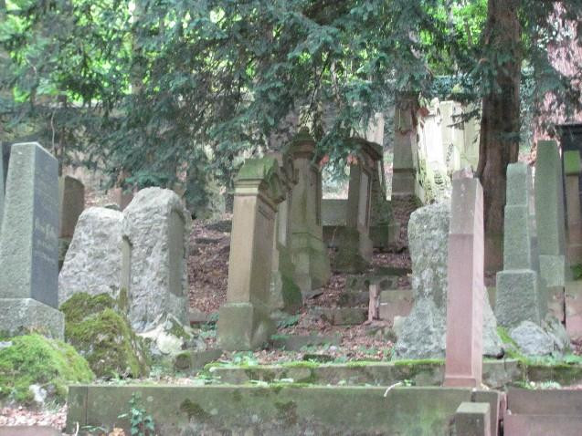 Jewish Cemetery-沃特海姆必去景点