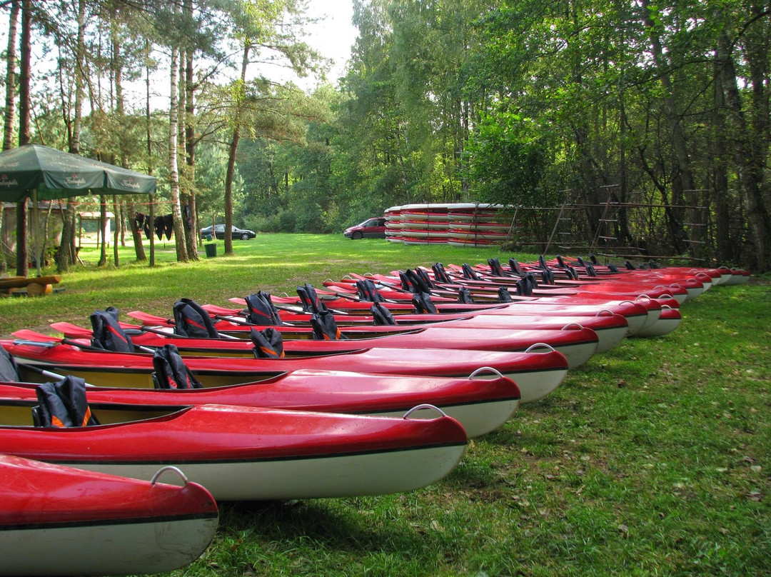 Baidares.com - Kayak Rent-Kaltanenai必去景点