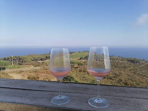 CANTINA Tenuta delle Ripalte景点图片