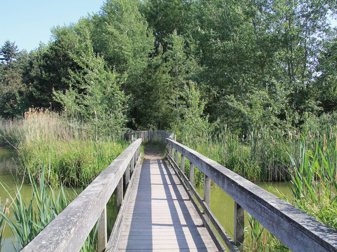 Baie de Somme Exploration景点图片