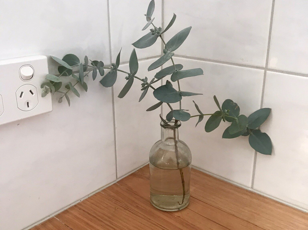 Clunes酒店住宿-Eastern Hill Creswick