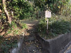 Shikaumi Shrine-福冈市必去景点