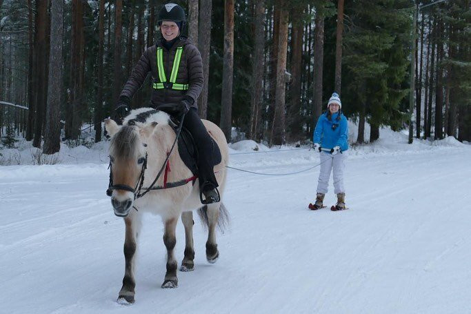 Lapland Vuollerim Welcomes You景点图片
