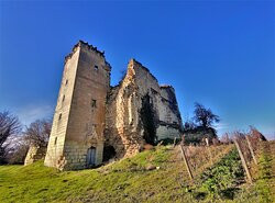 Donjons De Beaumont Ou Tour Négreteau景点图片