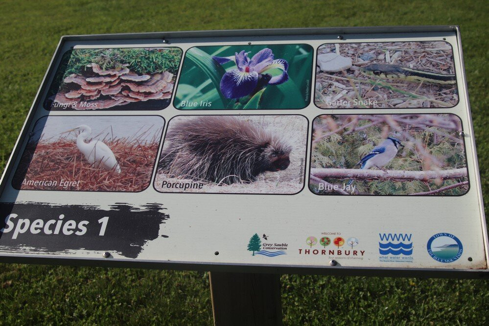 Lion's Park Clarksburg-Clarksburg必去景点