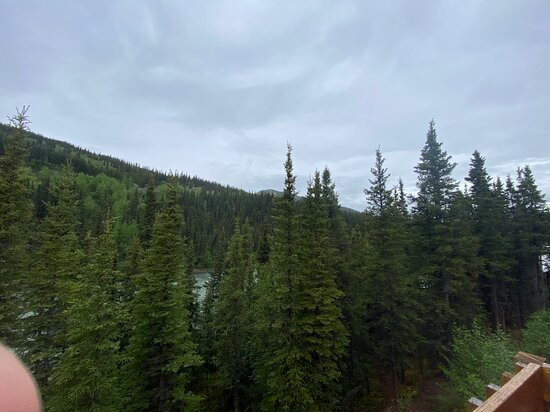 迪纳利灰熊度假村山林小屋主图