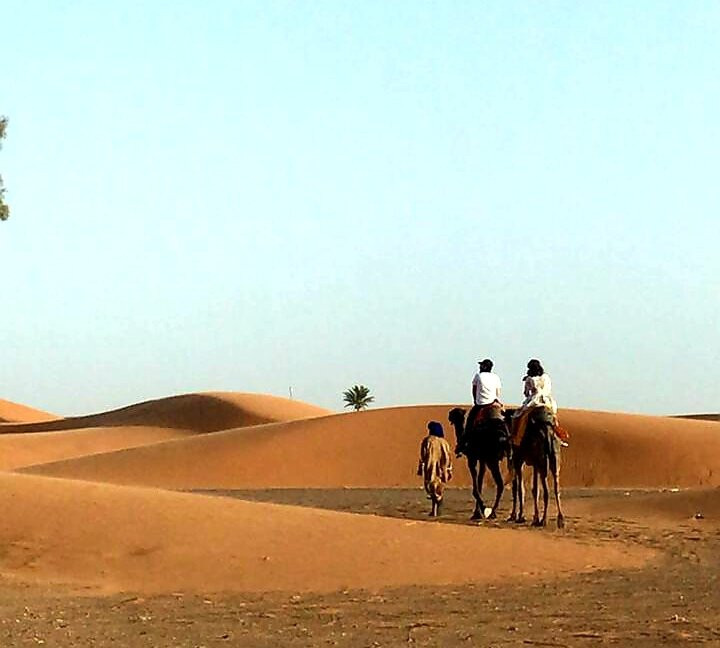 Sahara Luxury Trips-卡萨布兰卡必去景点