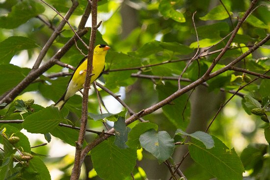 Avalon Park & Preserve-Stony Brook必去景点