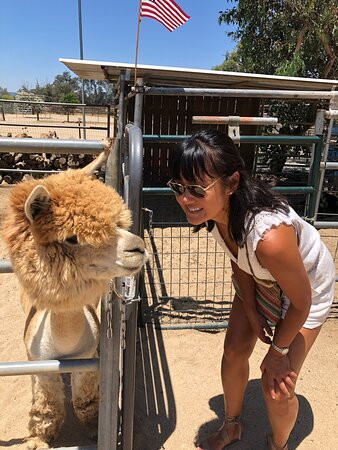 Temecula Berry Company-特曼库拉必去景点