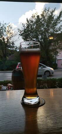 The Master Craft Brewery-巴尼亚卢卡必去景点