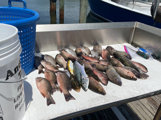 Outlaw Charters FMB-迈尔斯堡海滩必去景点