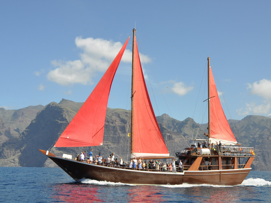 Neptuno Whale Experience Tenerife-特内里费岛必去景点