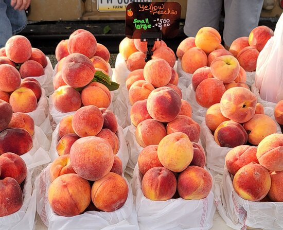 Bel Air Farmers' Market-Bel Air必去景点