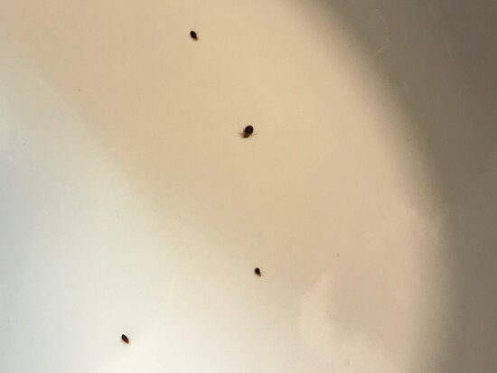 Hampton Inn Roanoke/hollins - I-81-客卧