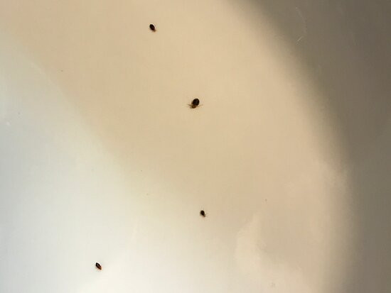 Hampton Inn Roanoke/hollins - I-81主图