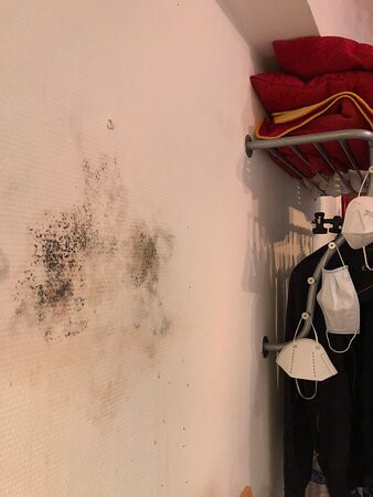 Hotel Cesar主图