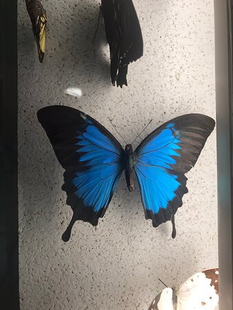Micropolis La Cite Des Insectes-Saint-Leons必去景点