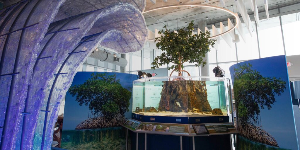 Tampa Bay Watch Discovery Center-圣彼德斯堡必去景点