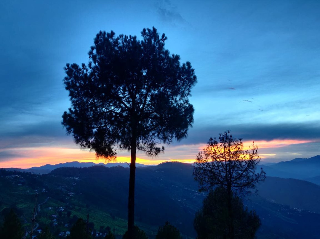 Mumukshu Resort主图