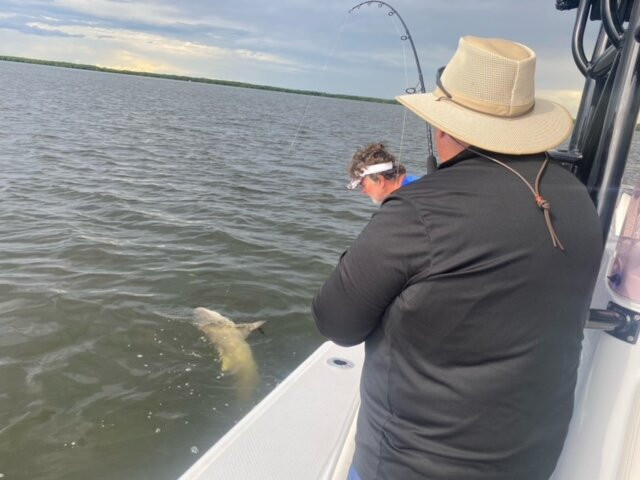 Tenacity Guide Service-开普科勒尔必去景点