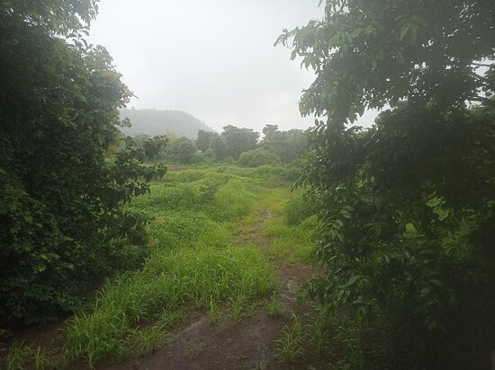 Govardhan EcoVillage主图