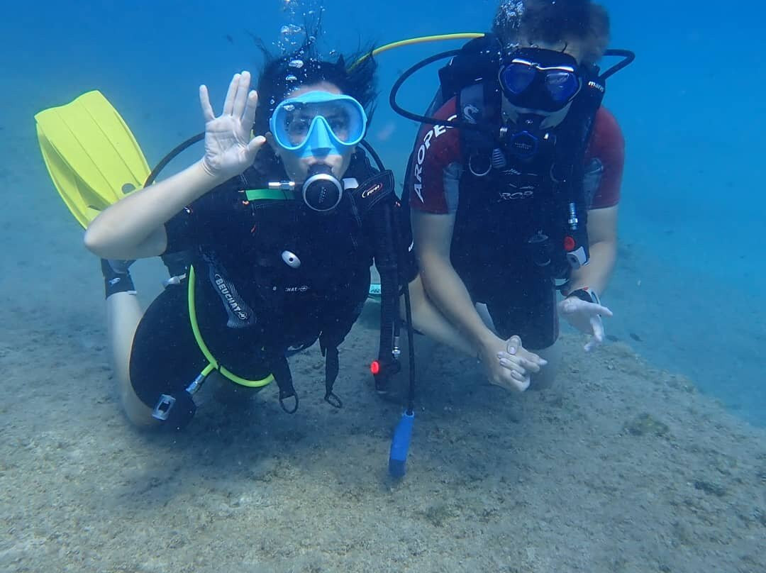 Ergo Dive Loumis Diving Team-Porto Heli必去景点