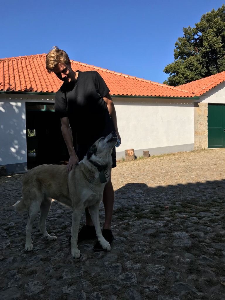 Quinta Da Comenda-官方