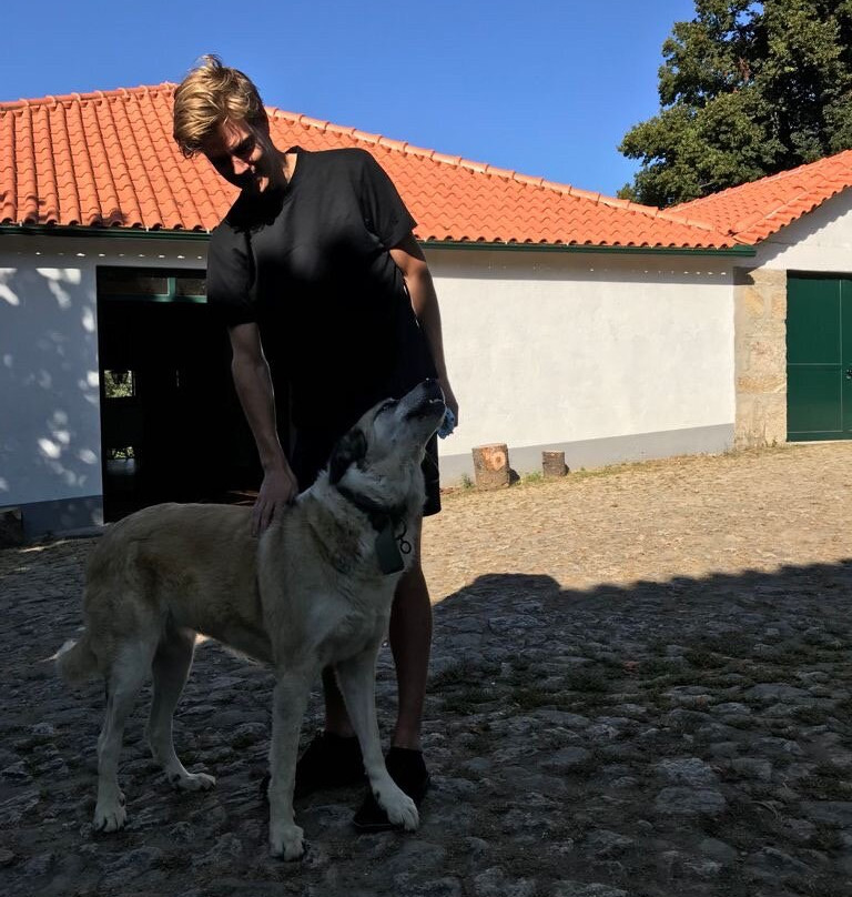 Quinta Da Comenda主图