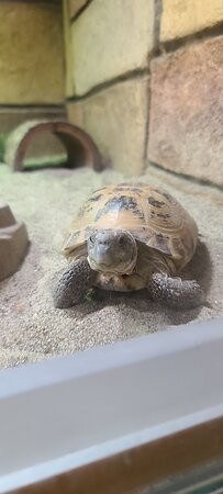 The Children's Museum-西哈特福德必去景点