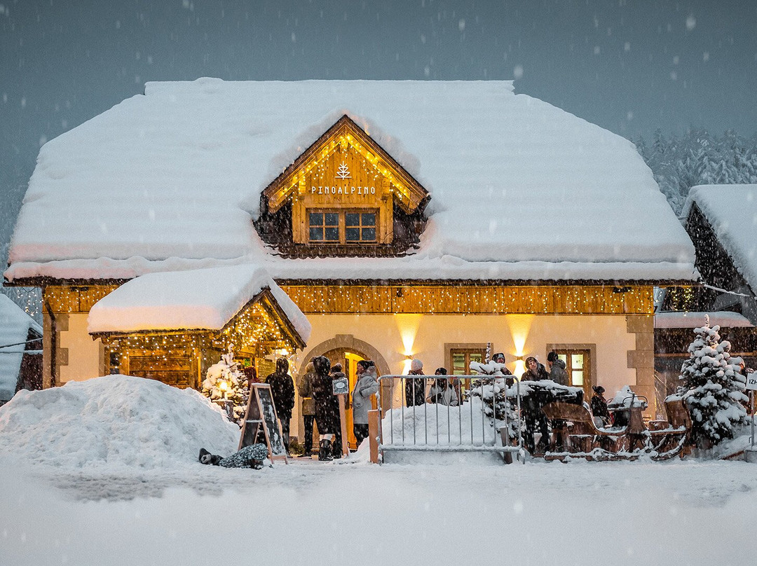 Log酒店住宿-Hotel Pino Alpino