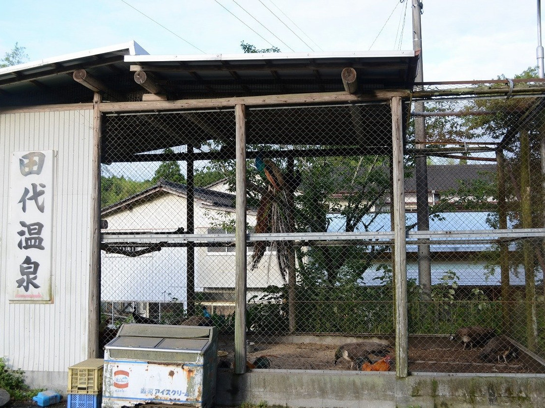 Tashiro Onsen-虾野市必去景点