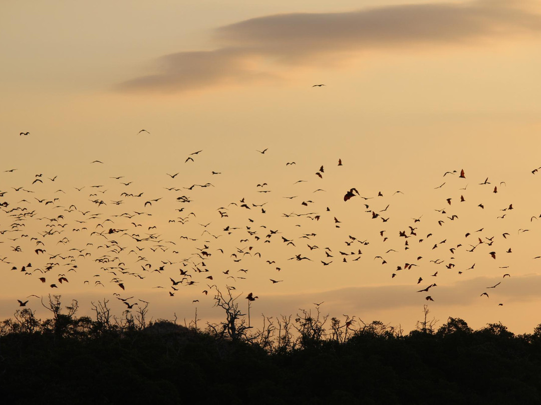 Riung 17 Island Marine Park景点图片